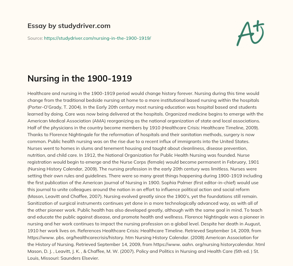 Nursing in the 1900-1919 essay