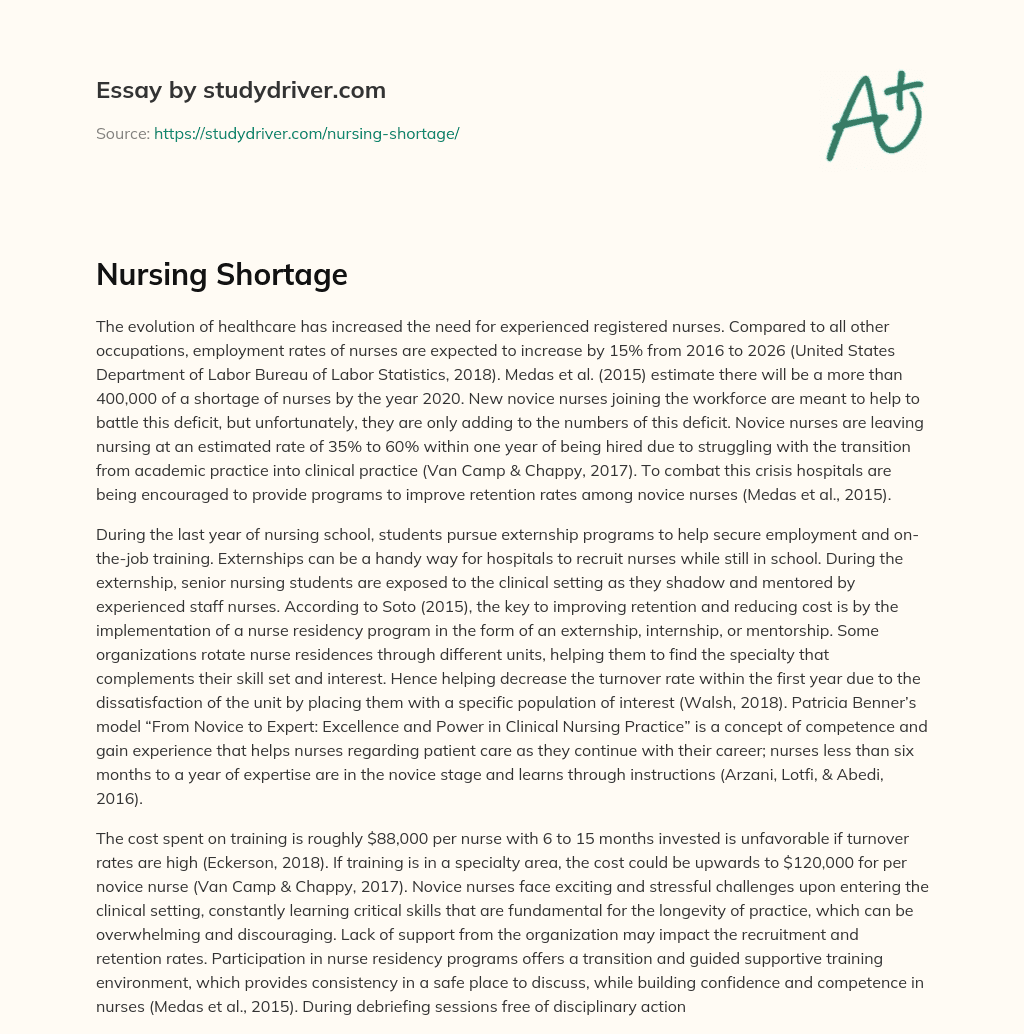 Nursing Shortage essay