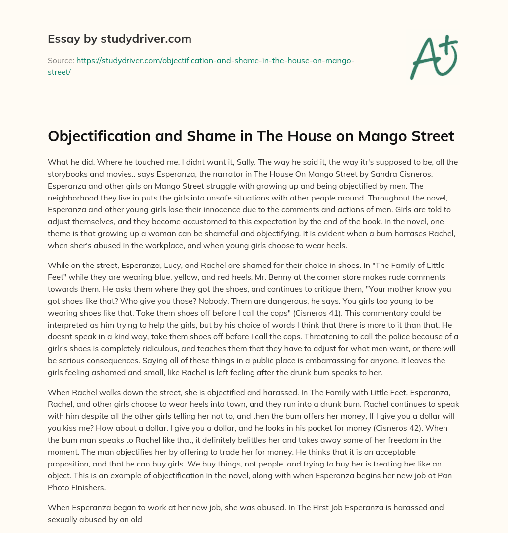 Objectification and Shame in the House on Mango Street essay