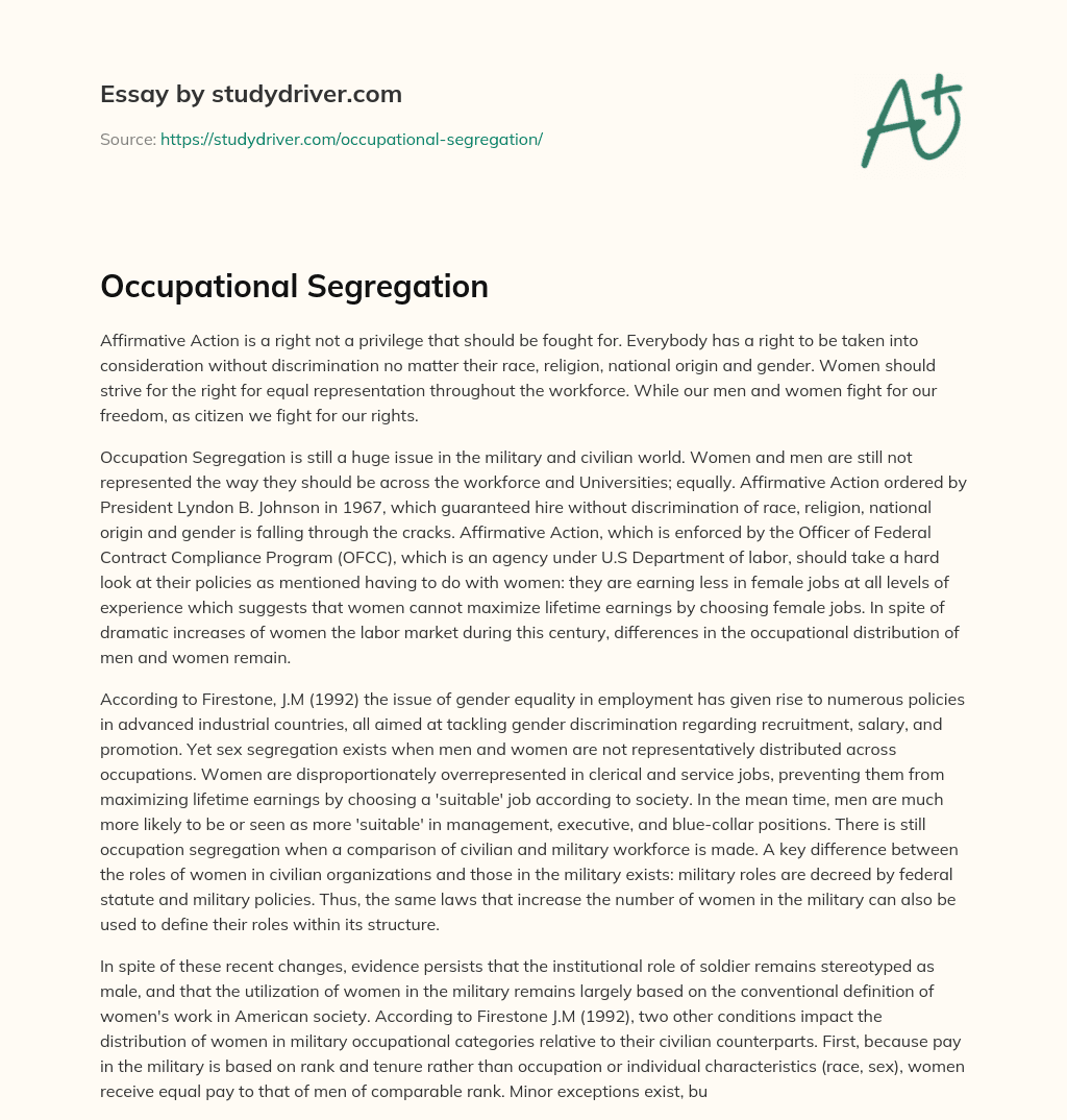 Occupational Segregation essay