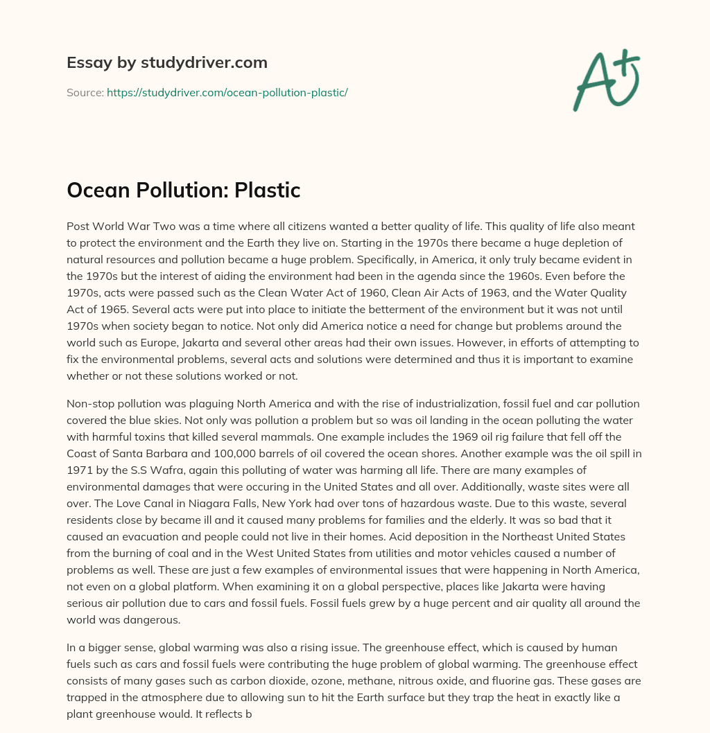 Ocean Pollution: Plastic essay