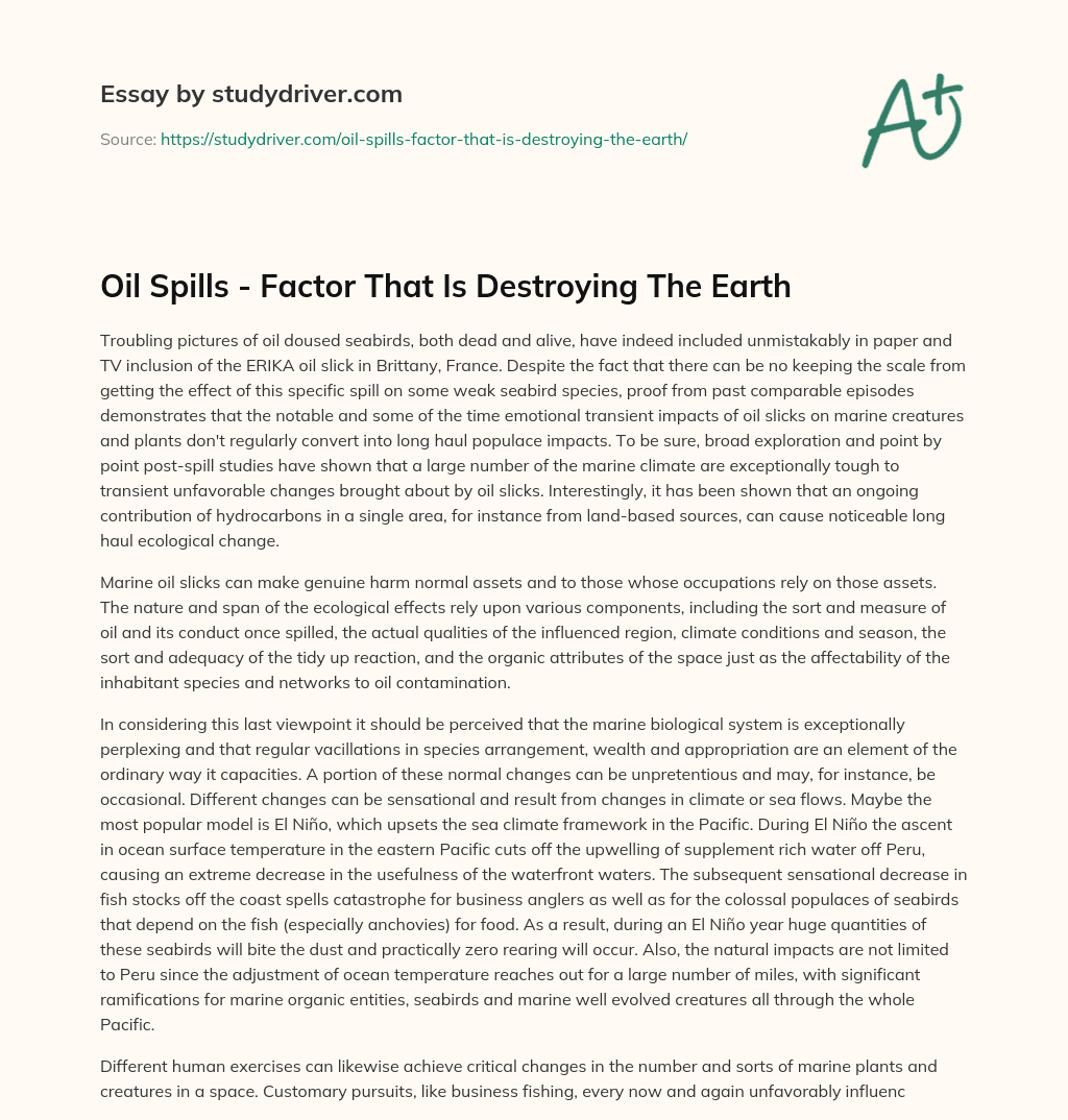 Oil Spills – Factor that is Destroying the Earth essay