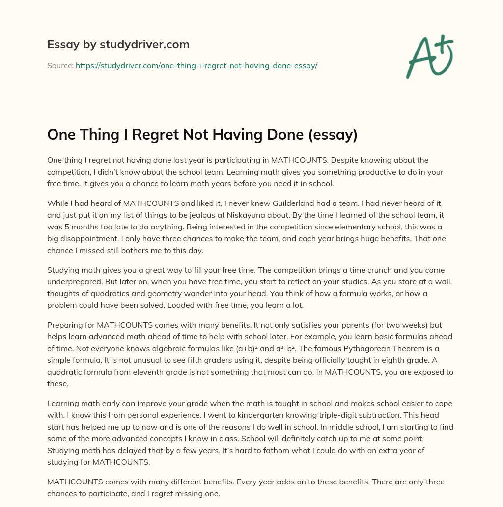 One Thing i Regret not having Done (essay) essay