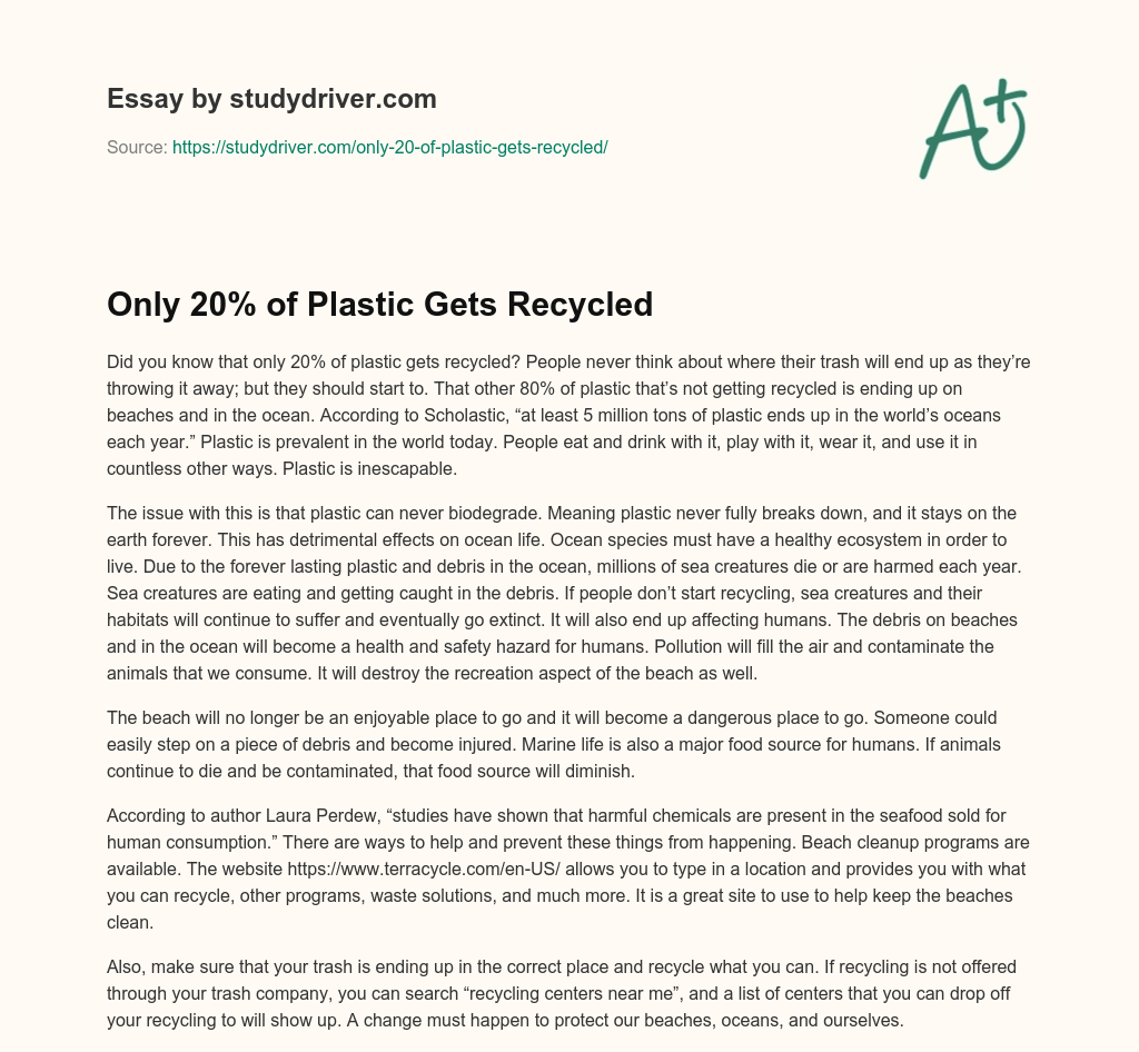 Only 20% of Plastic Gets Recycled essay
