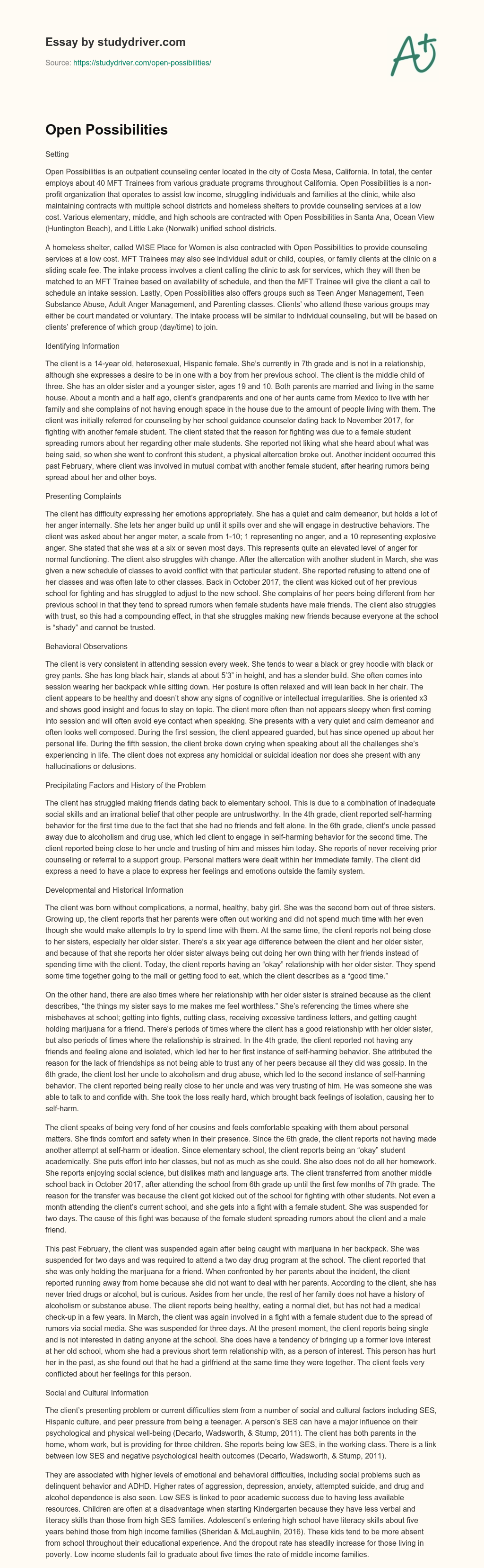 Open Possibilities essay