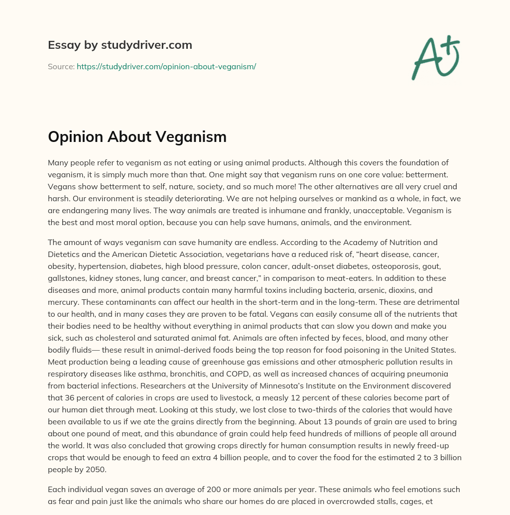 Opinion about Veganism essay