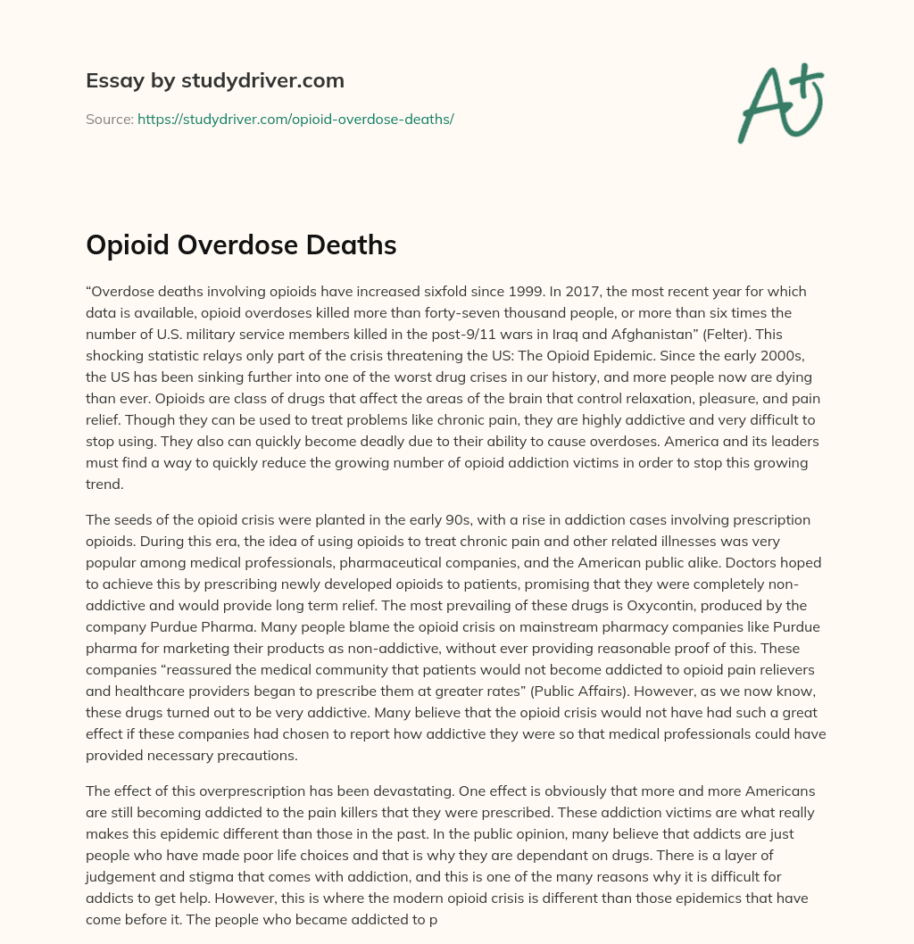 Opioid Overdose Deaths essay