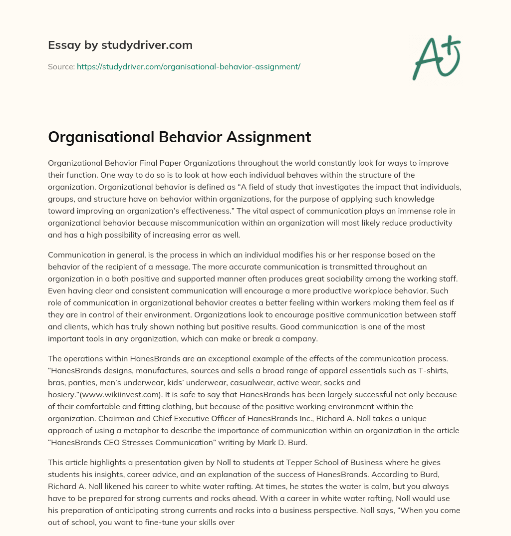 Organisational Behavior Assignment essay