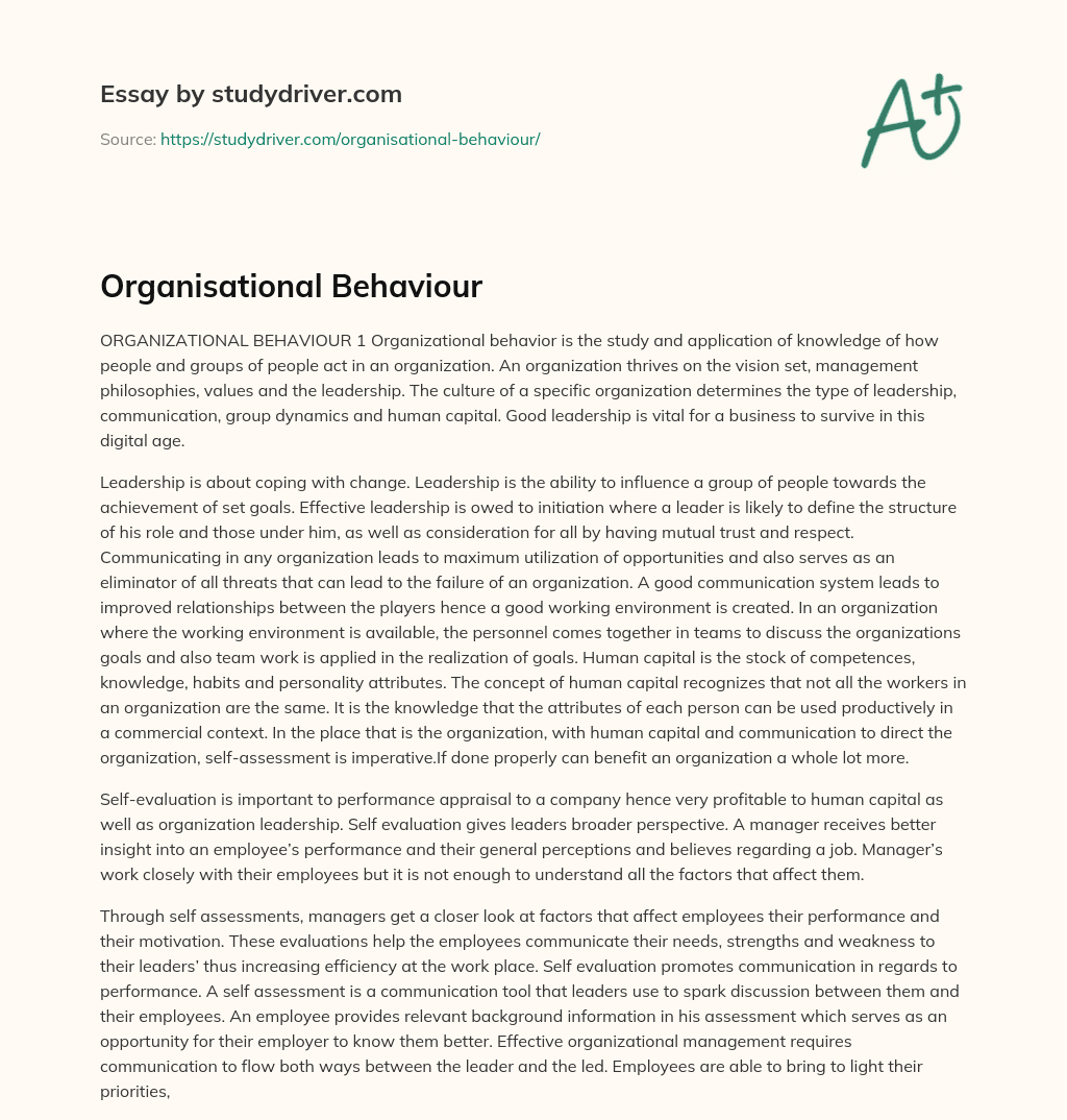 Organisational Behaviour essay