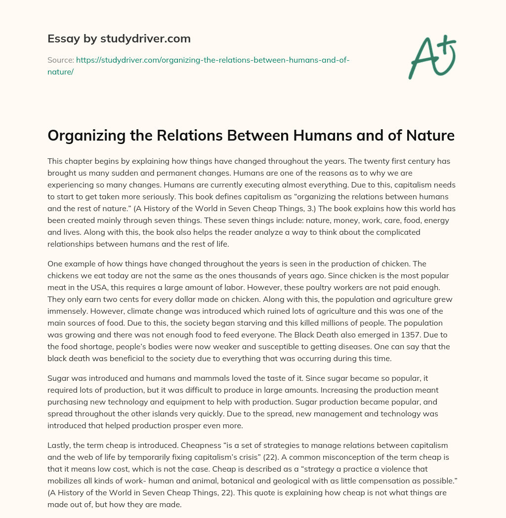 Organizing the Relations between Humans and of Nature essay
