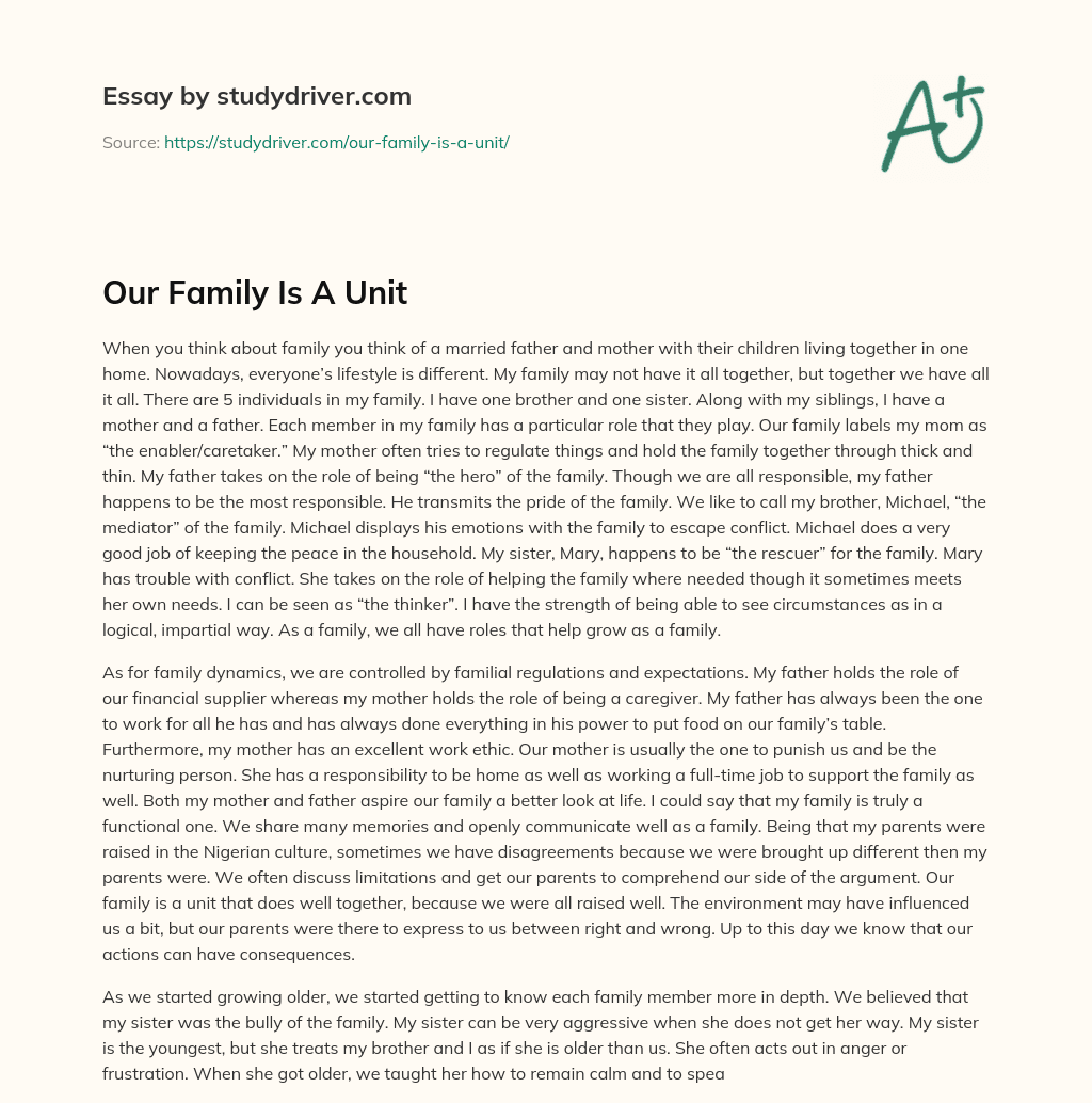 Our Family is a Unit essay
