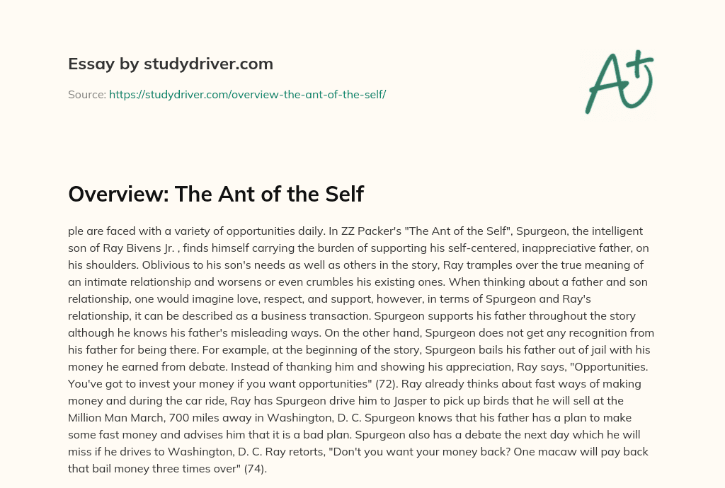 Overview: the Ant of the Self essay