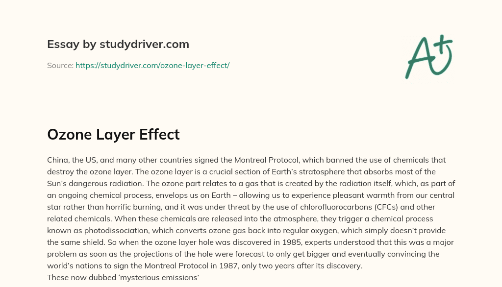 Ozone Layer Effect essay