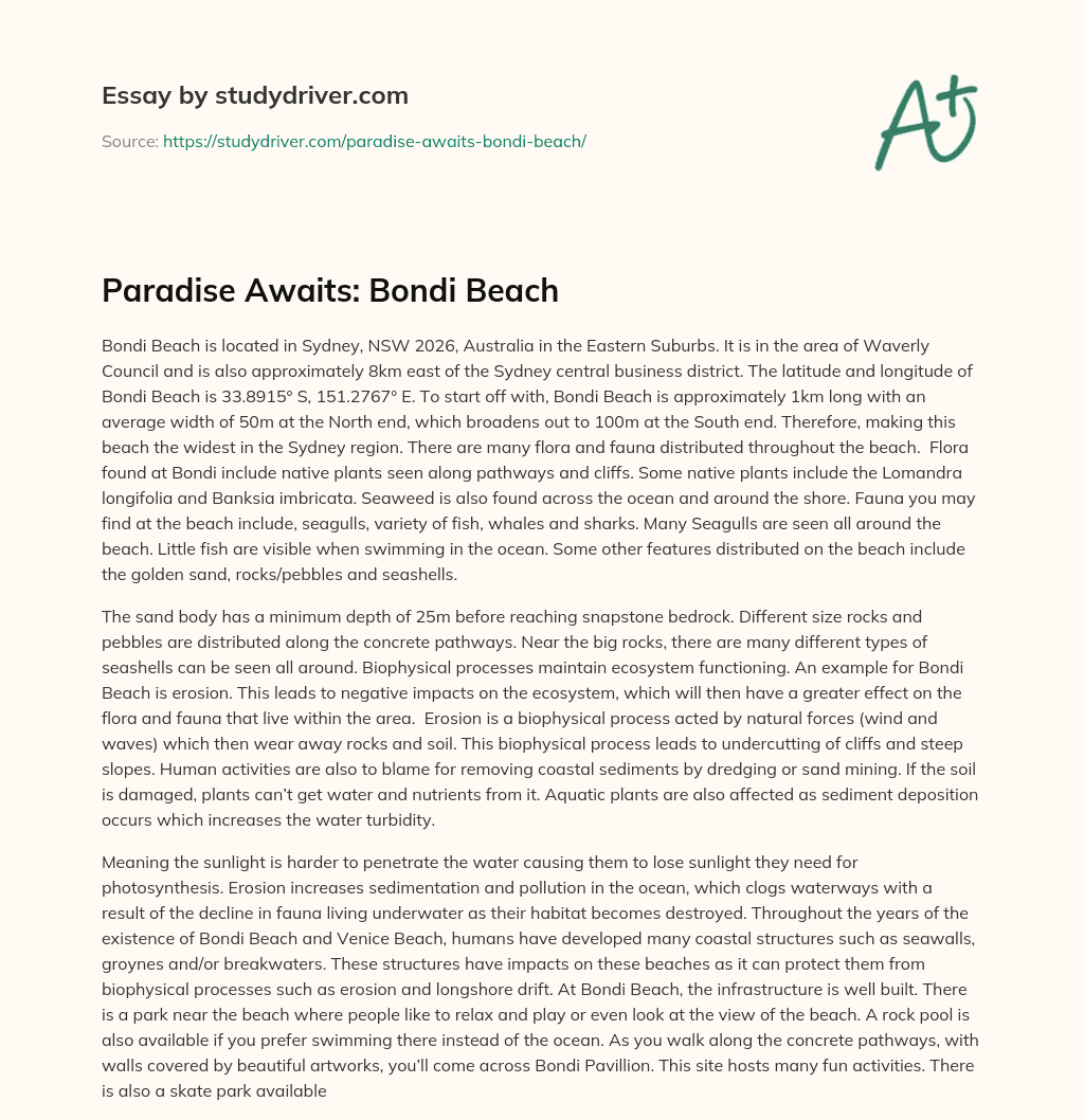 Paradise Awaits: Bondi Beach essay