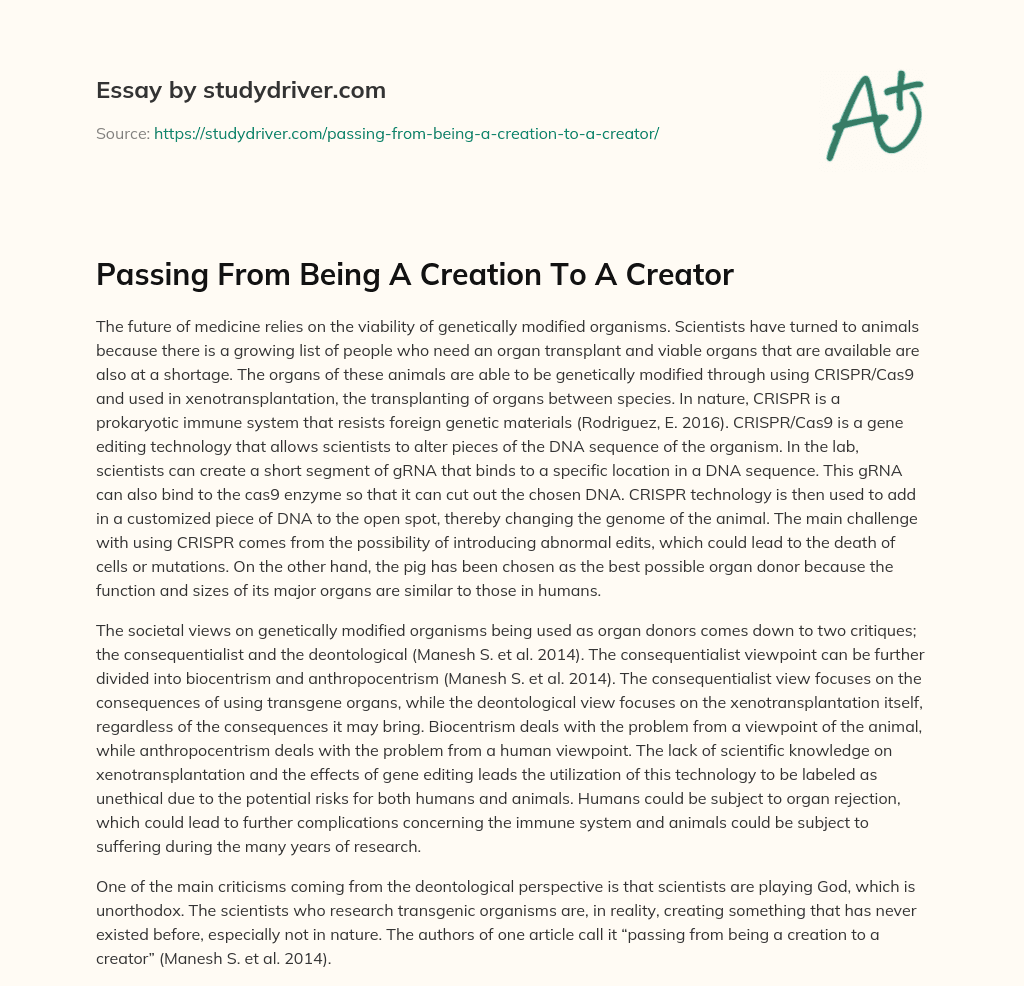 Passing from being a Creation to a Creator essay
