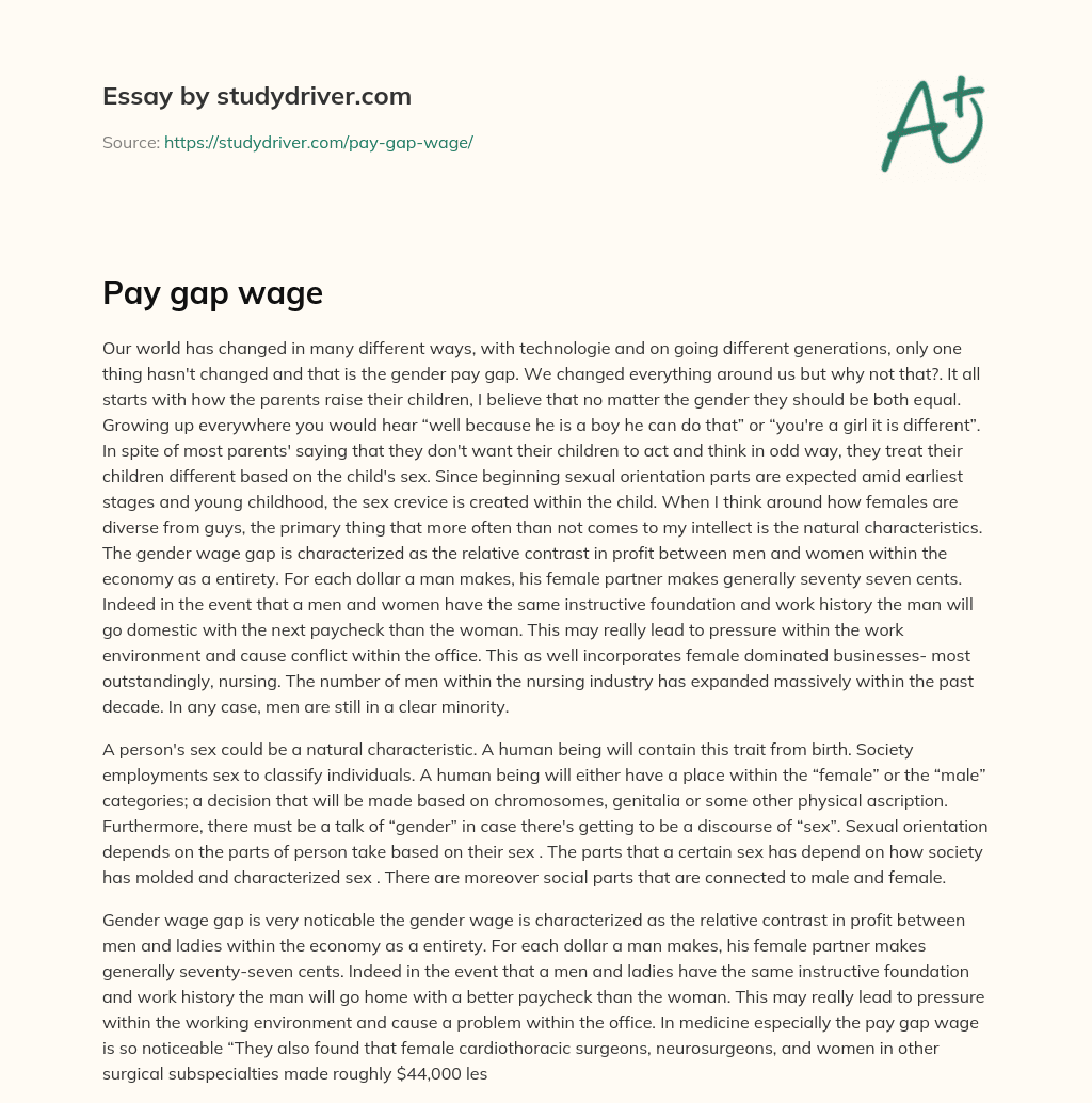 Pay Gap Wage essay