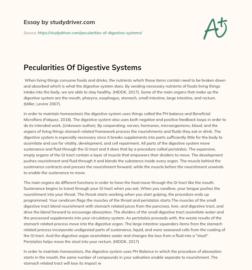 Pecularities of Digestive Systems essay