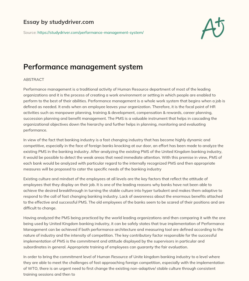 Performance Management System essay