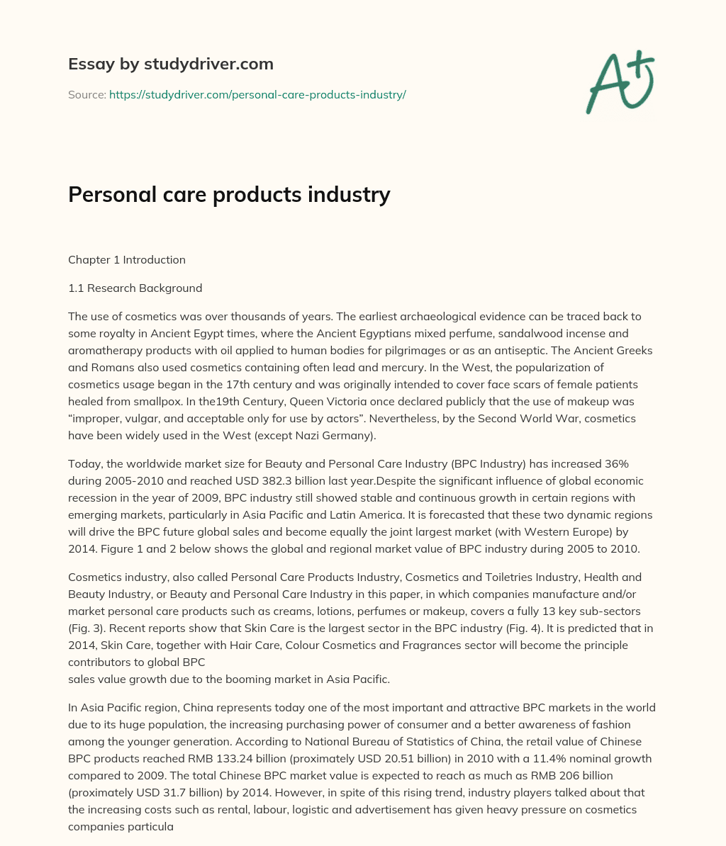 Personal Care Products Industry essay