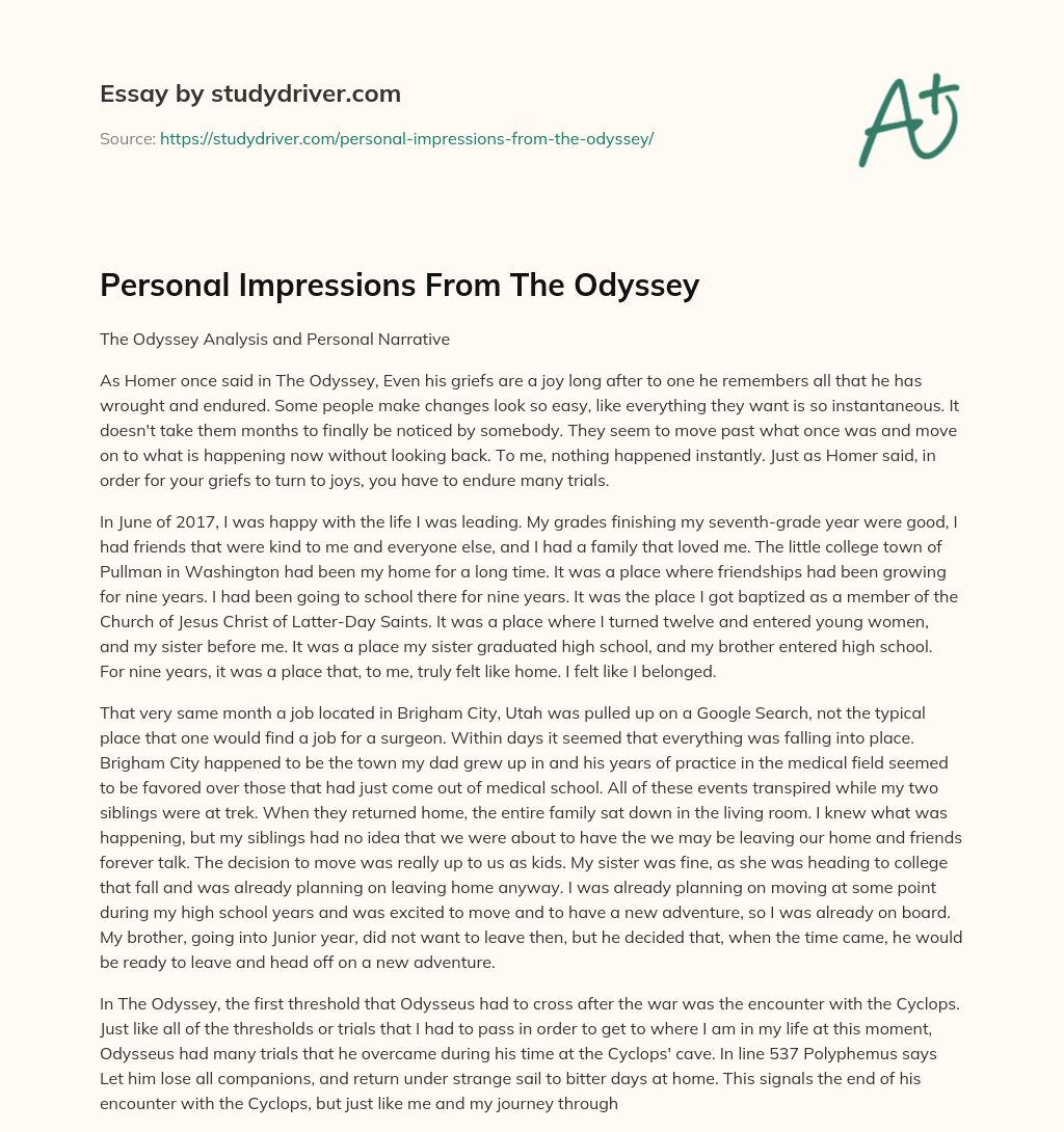 Personal Impressions from the Odyssey essay