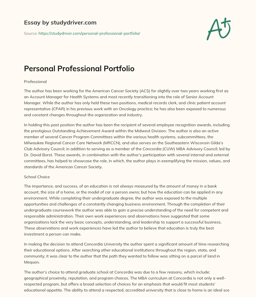 Personal Professional Portfolio essay