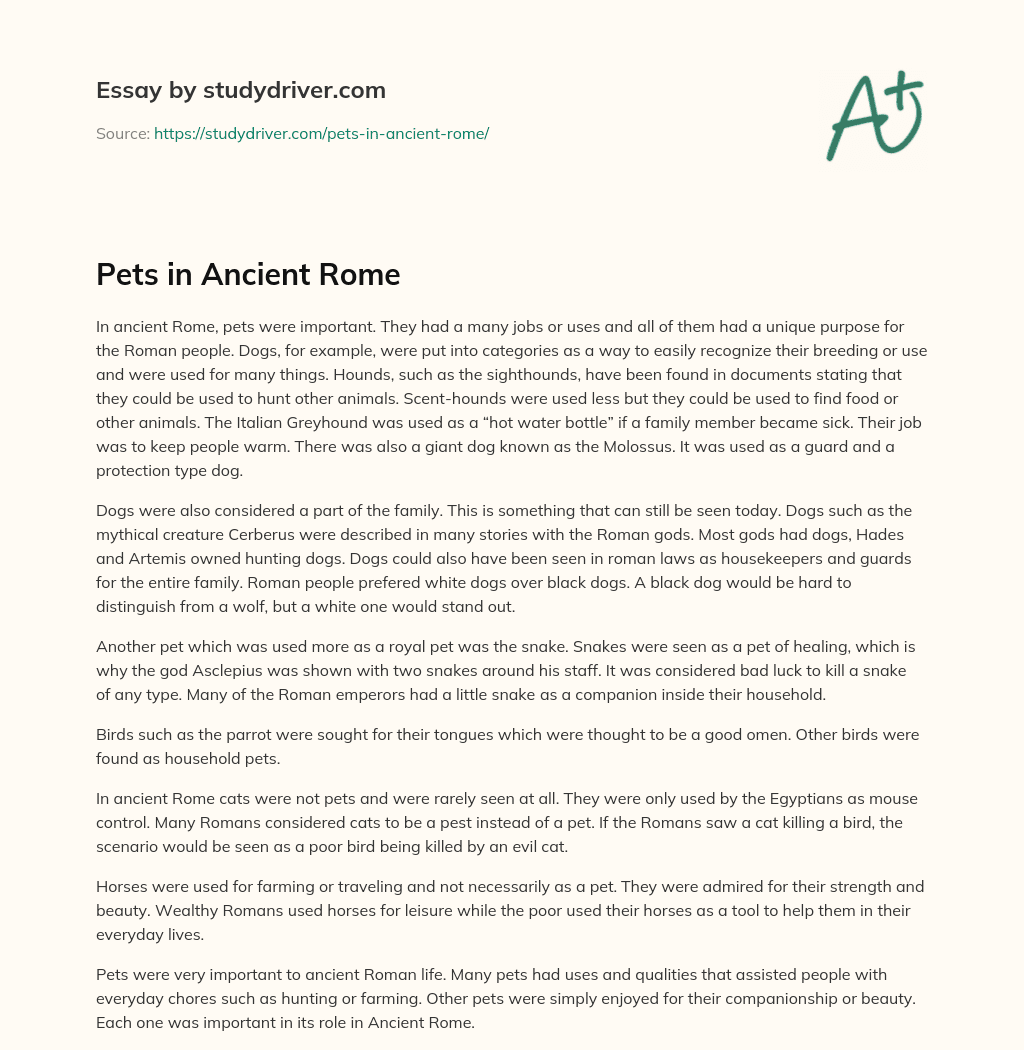 Pets in Ancient Rome essay