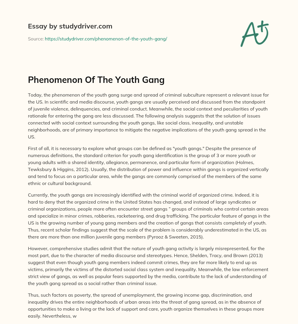 Phenomenon of the Youth Gang essay