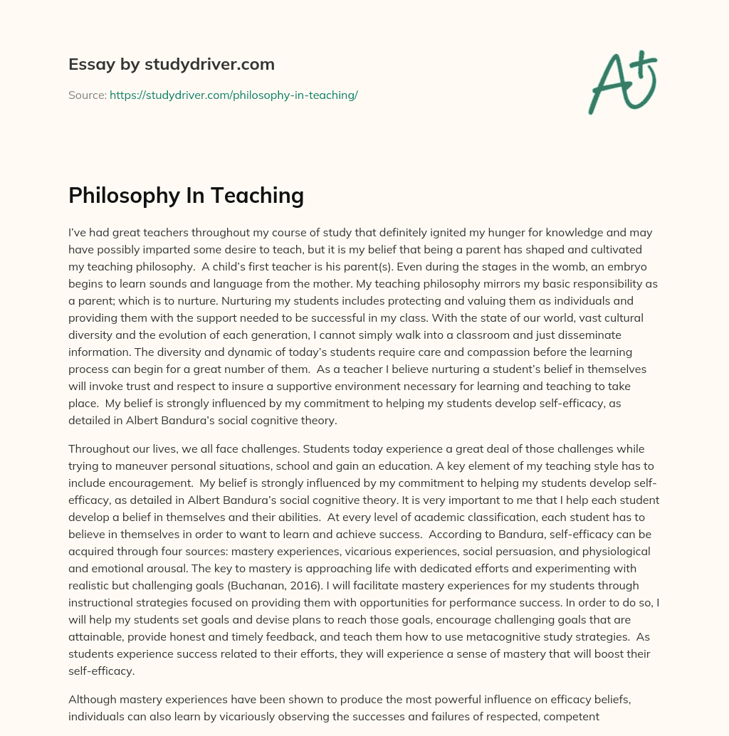 Philosophy in Teaching essay