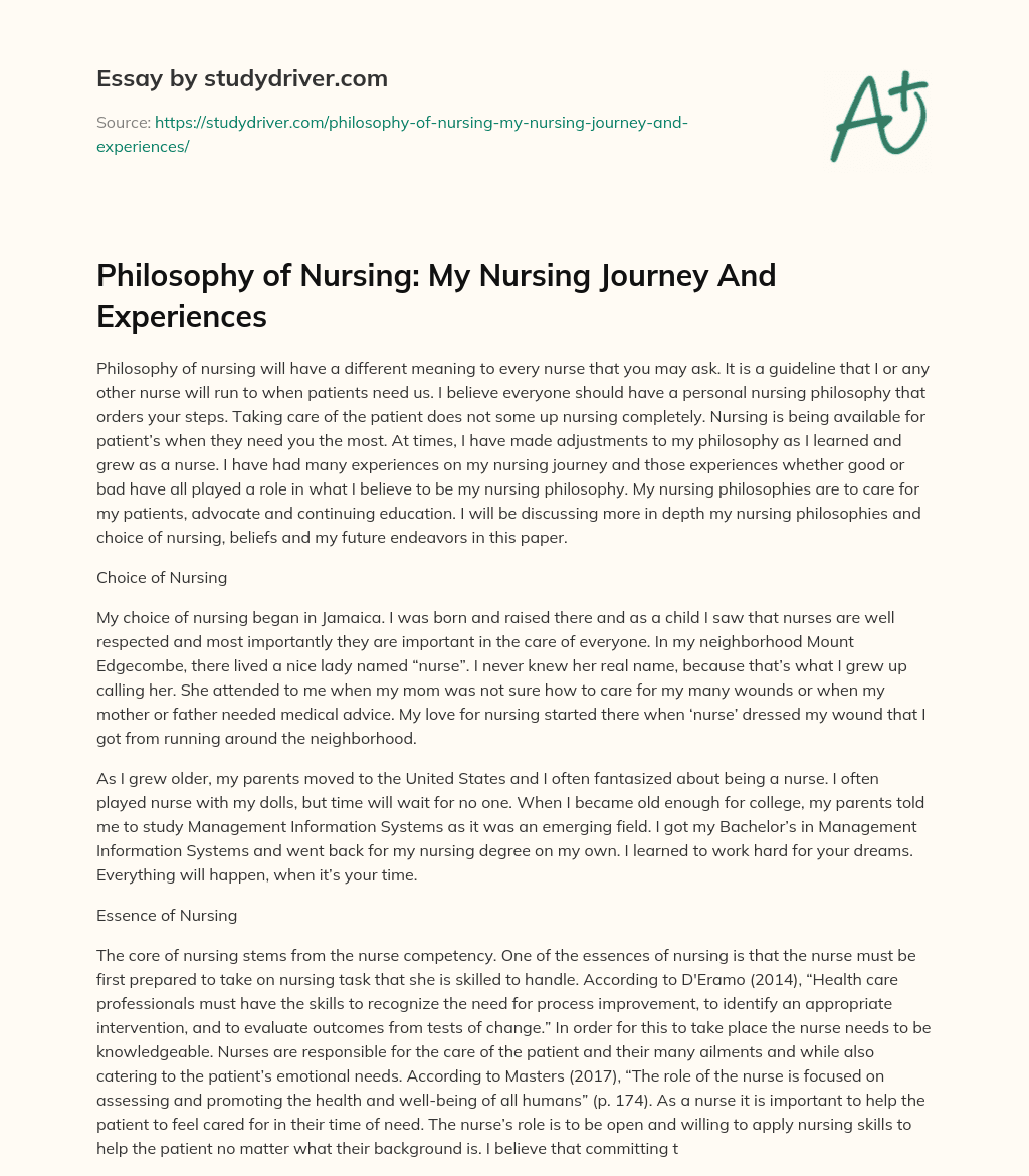 Philosophy of Nursing: my Nursing Journey and Experiences essay