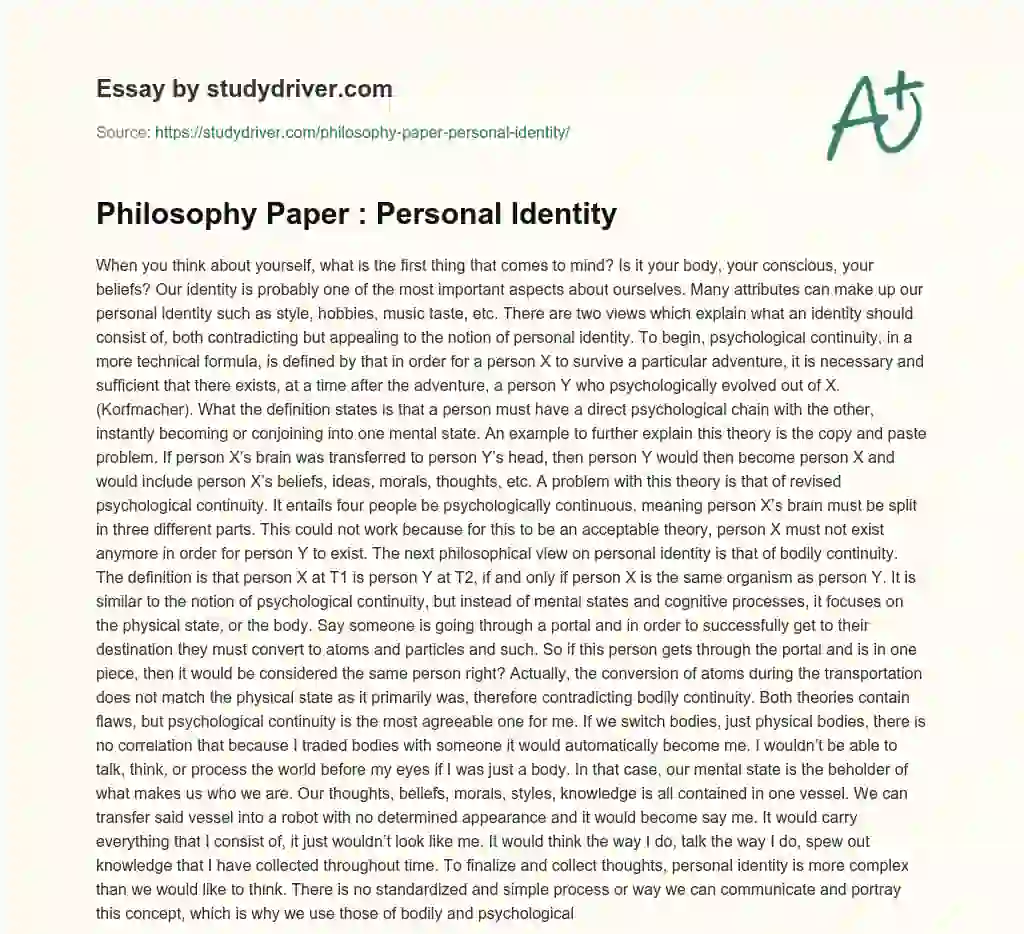 Philosophy Paper : Personal Identity essay