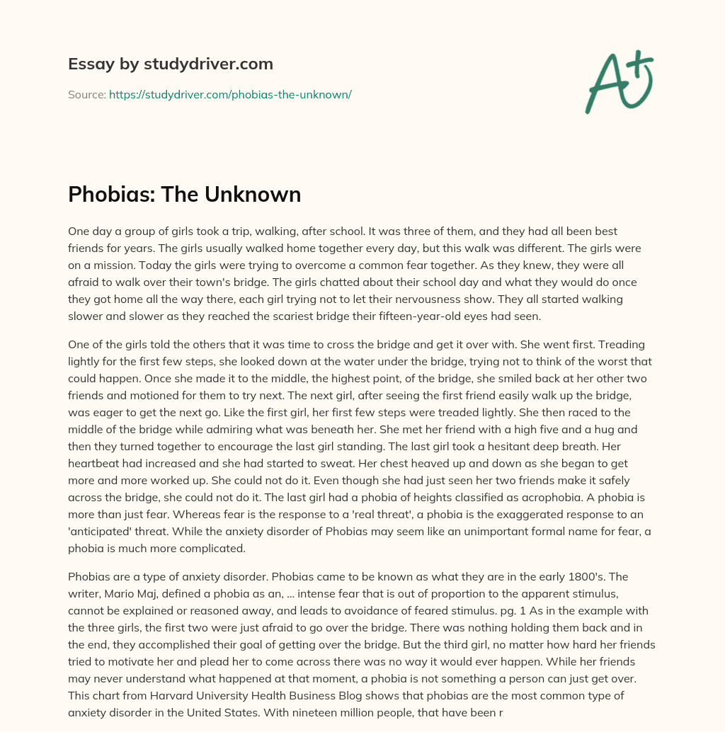 Phobias: the Unknown essay