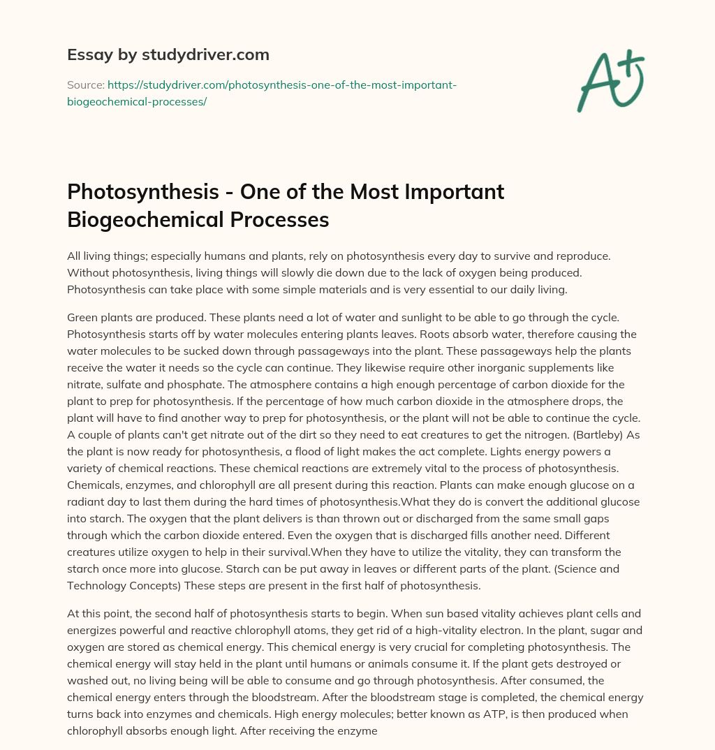 Photosynthesis – One of the most Important Biogeochemical Processes essay