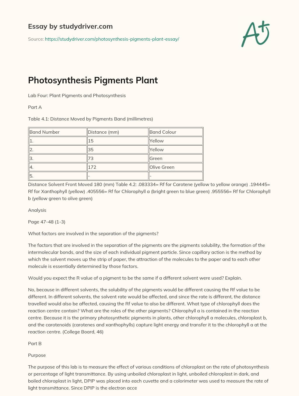 Photosynthesis Pigments Plant essay
