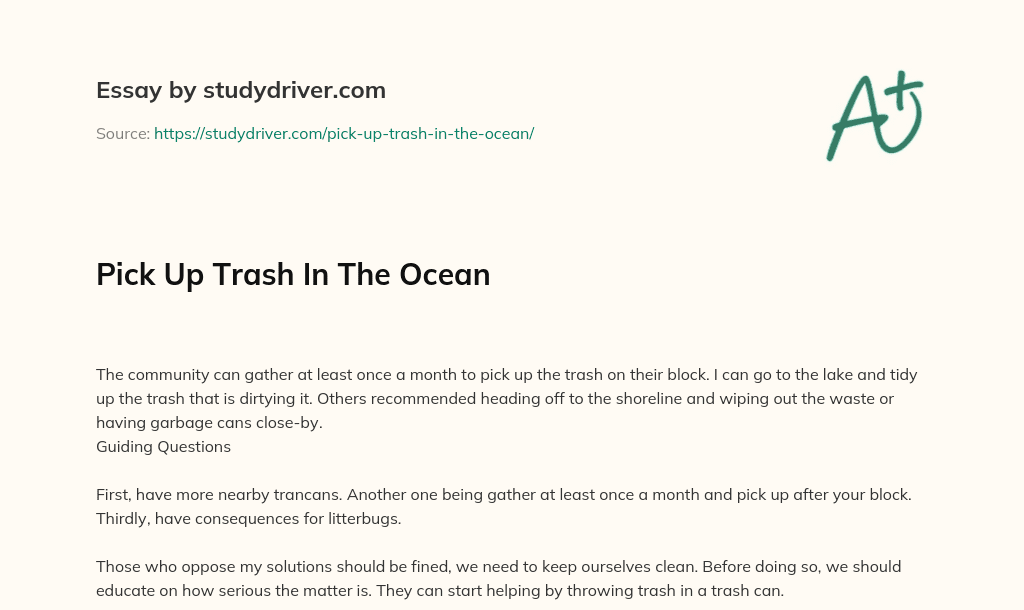 Pick up Trash in the Ocean essay