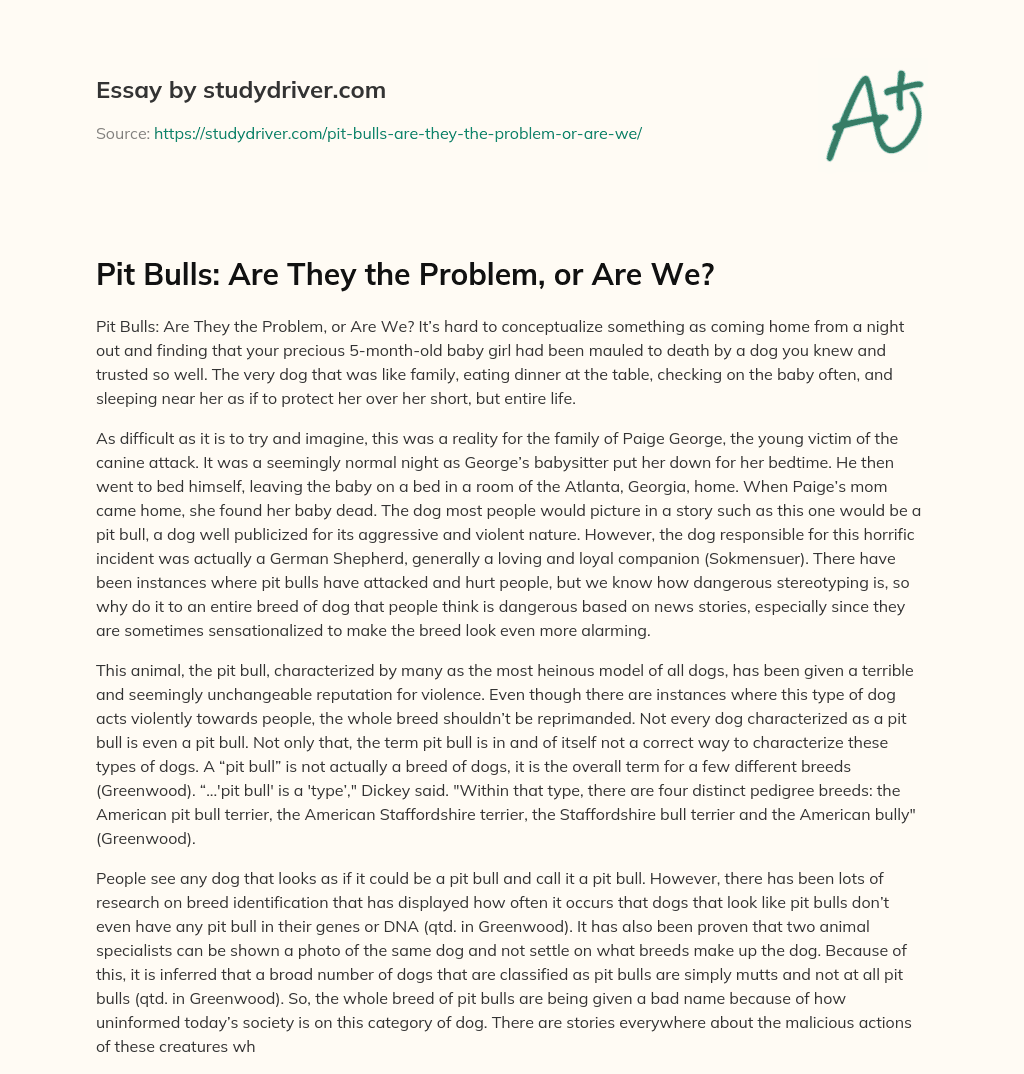 Pit Bulls: are they the Problem, or are We? essay