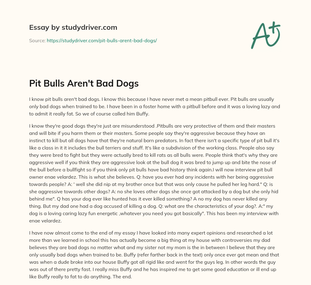 Pit Bulls aren’t Bad Dogs essay