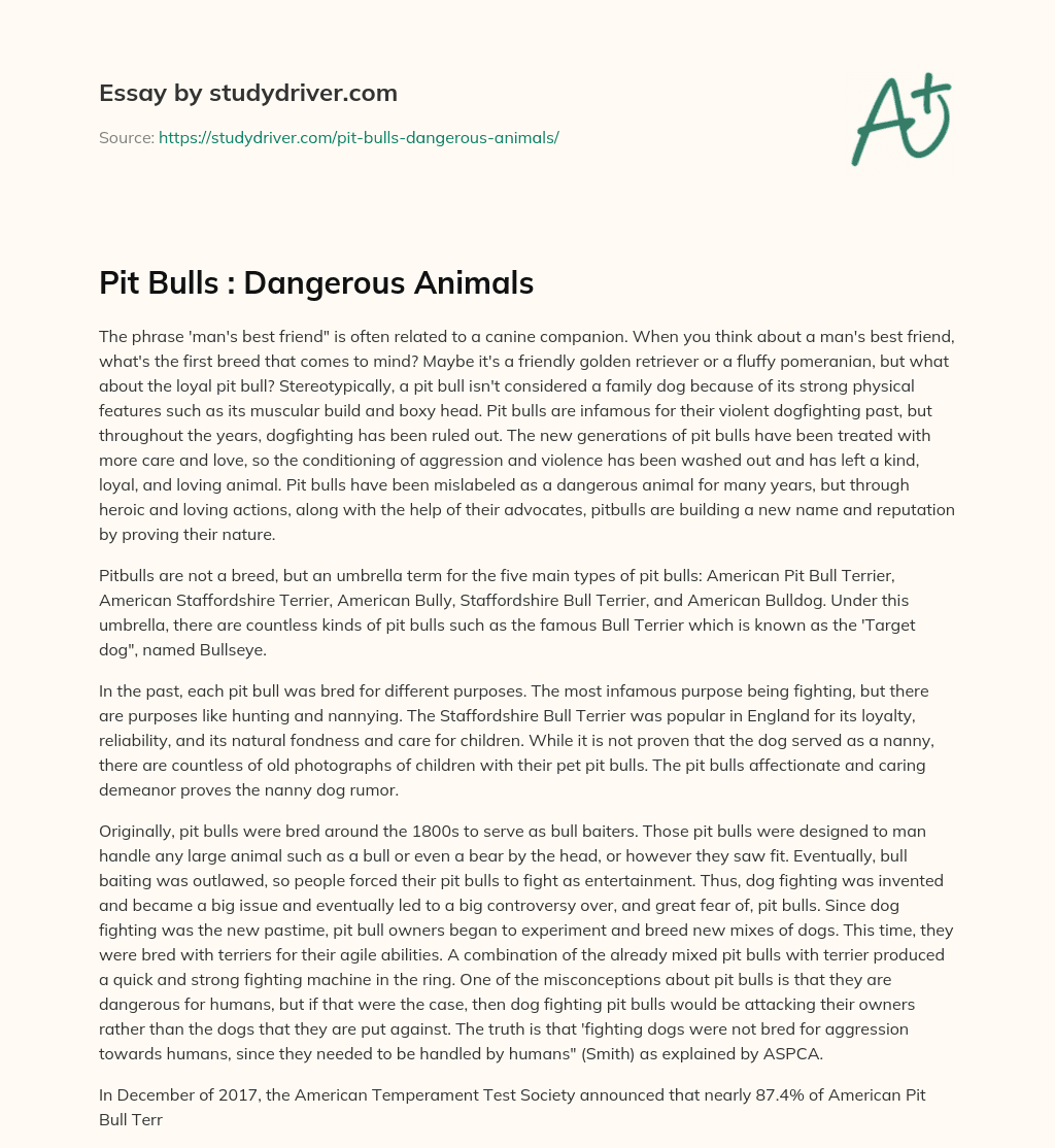 Pit Bulls : Dangerous Animals essay