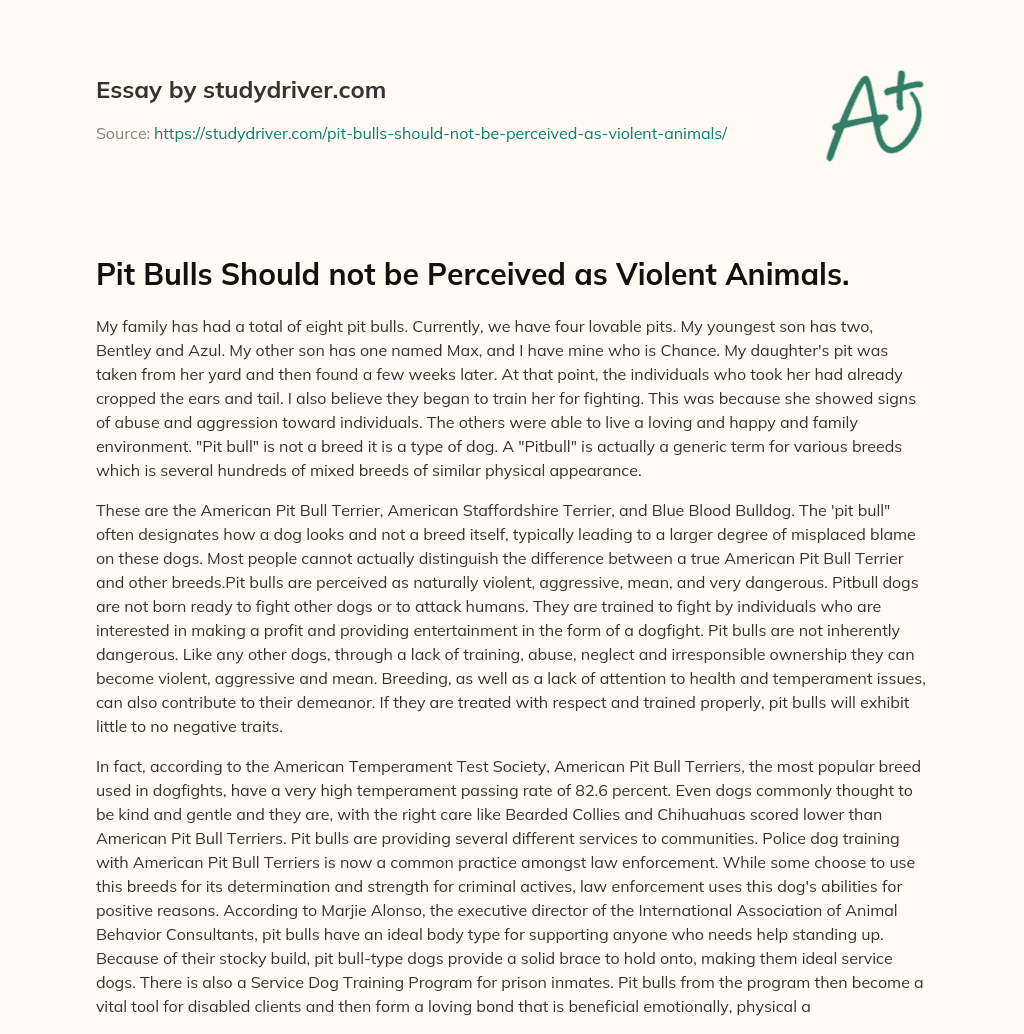 Pit Bulls should not be Perceived as Violent Animals. essay