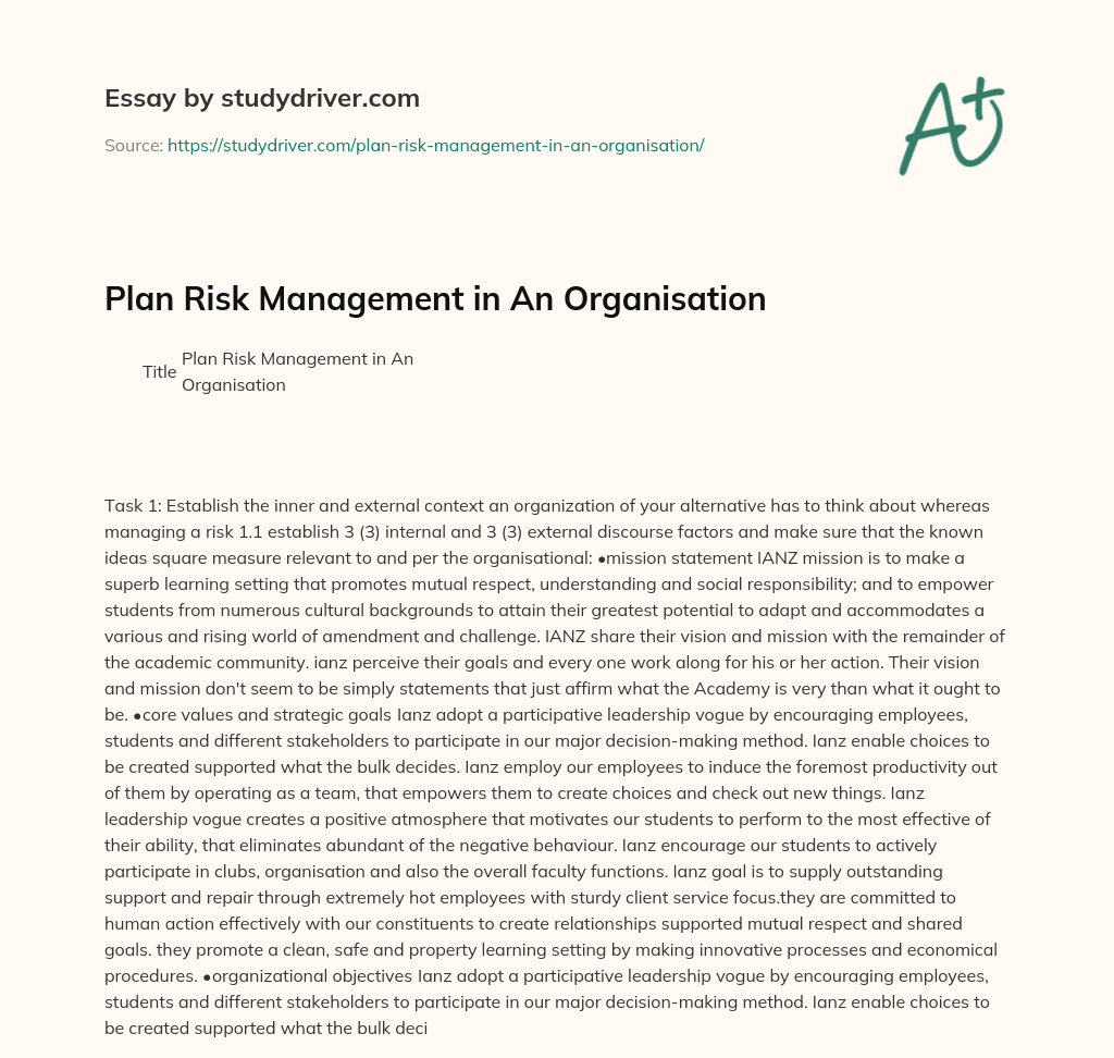 Plan Risk Management in an Organisation essay