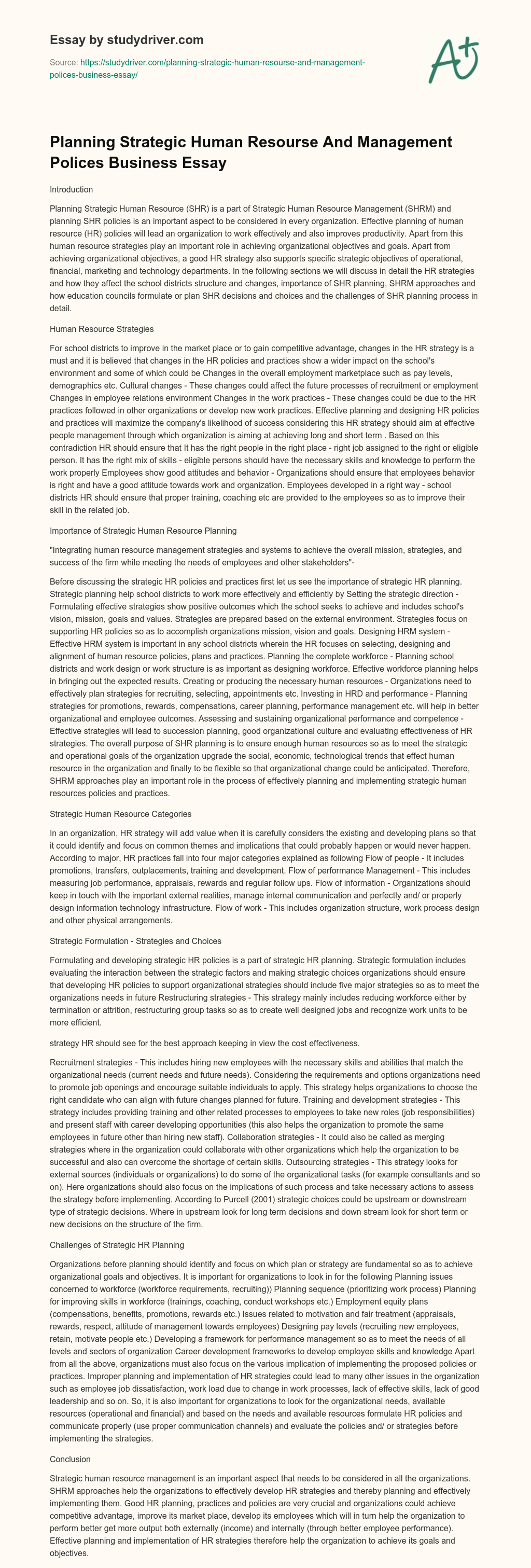 Planning Strategic Human Resourse and Management Polices Business Essay essay