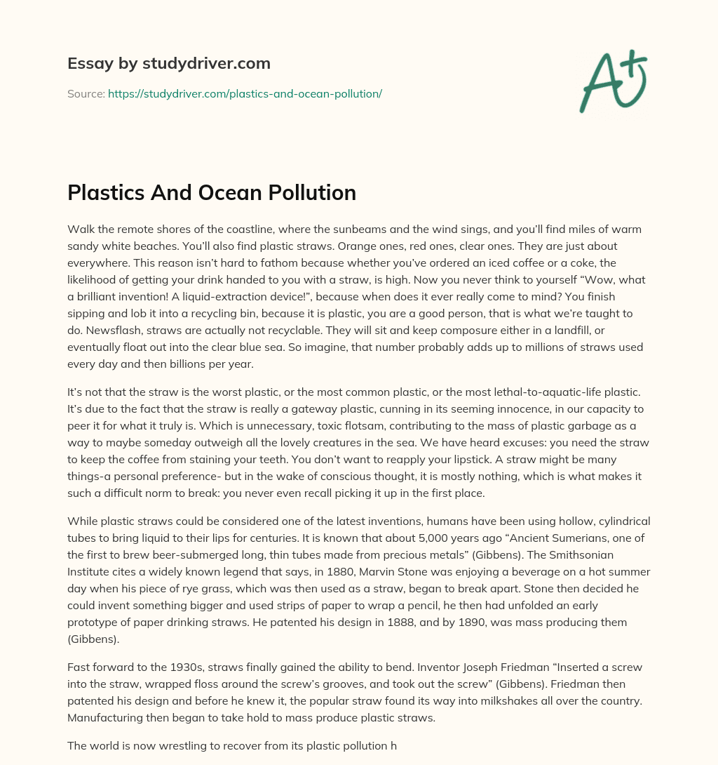 Plastics and Ocean Pollution essay