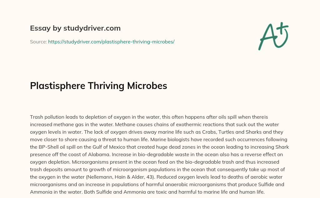 Plastisphere Thriving Microbes essay