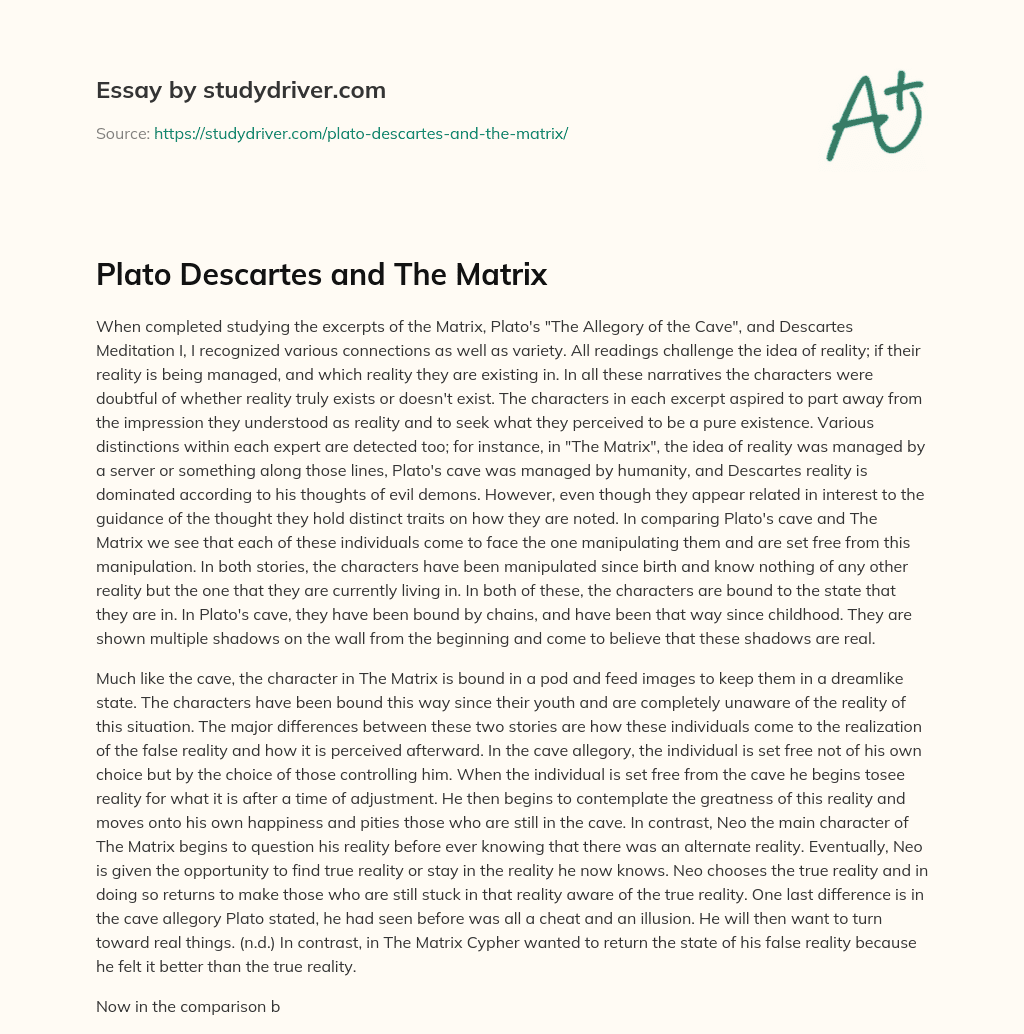 Plato Descartes and the Matrix essay