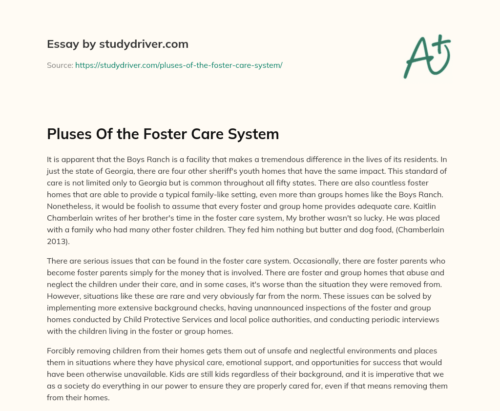 Pluses of the Foster Care System essay