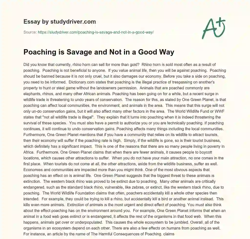 Poaching is Savage and not in a Good Way essay