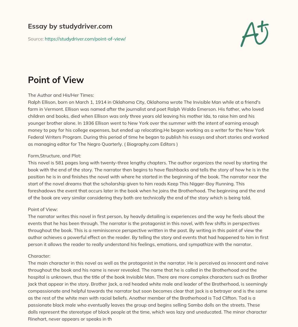 Point of View essay