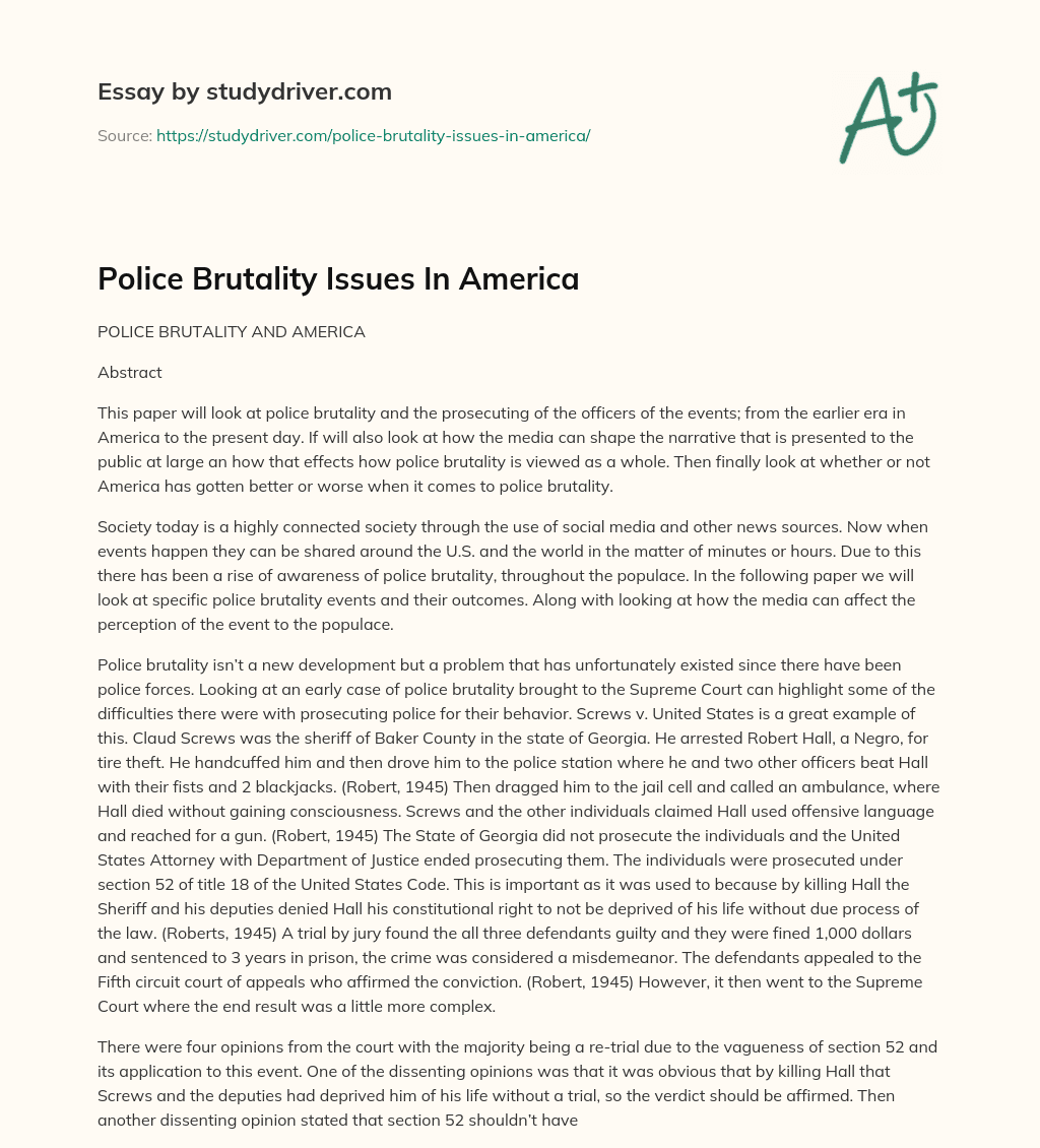 Police Brutality Issues in America essay