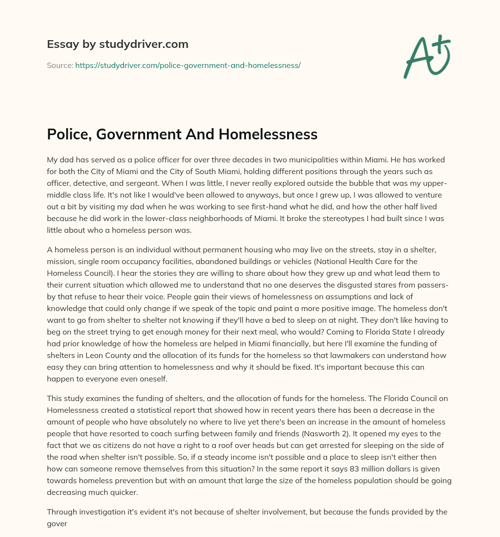 Police, Government and Homelessness essay