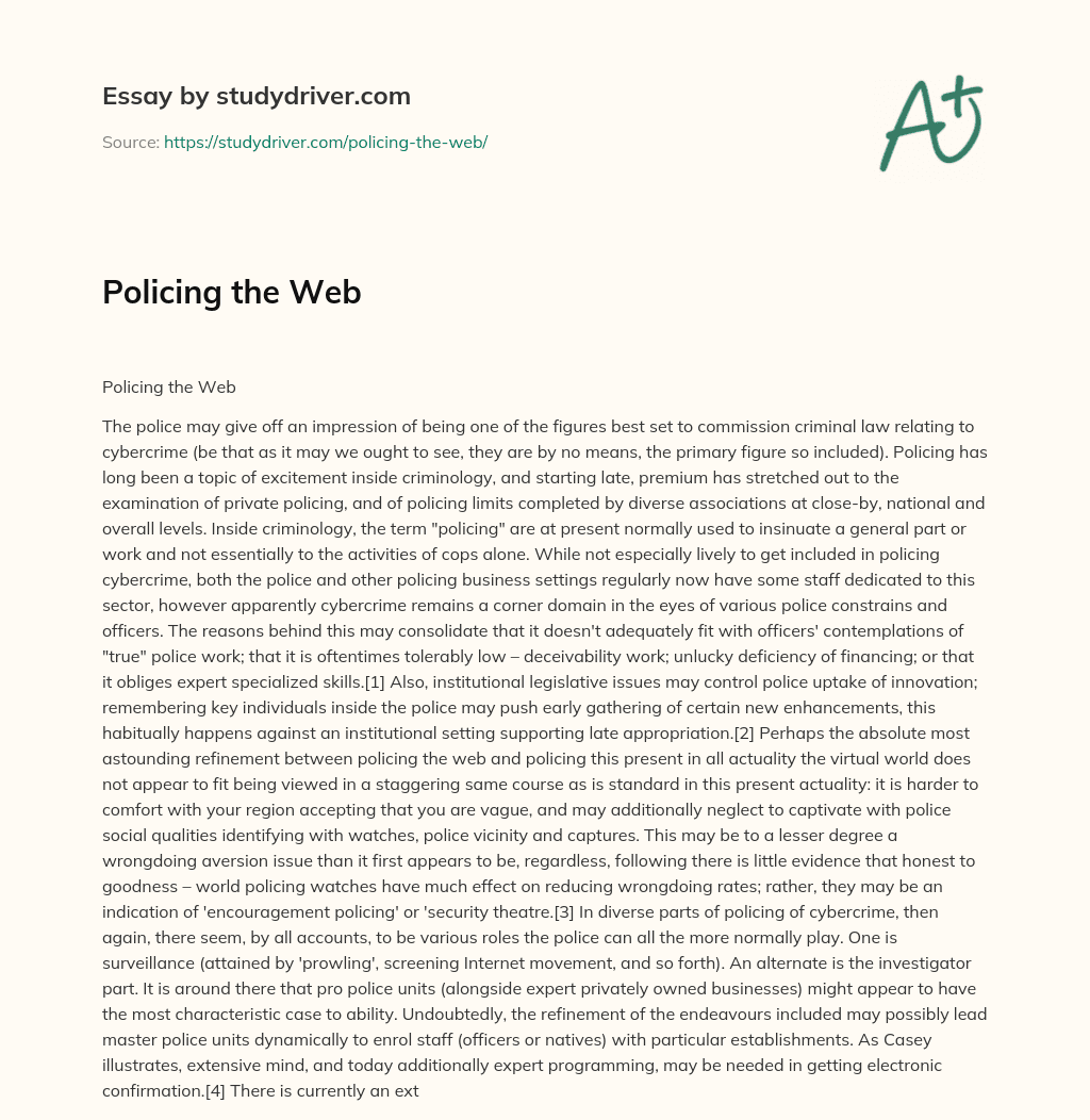 Policing the Web essay