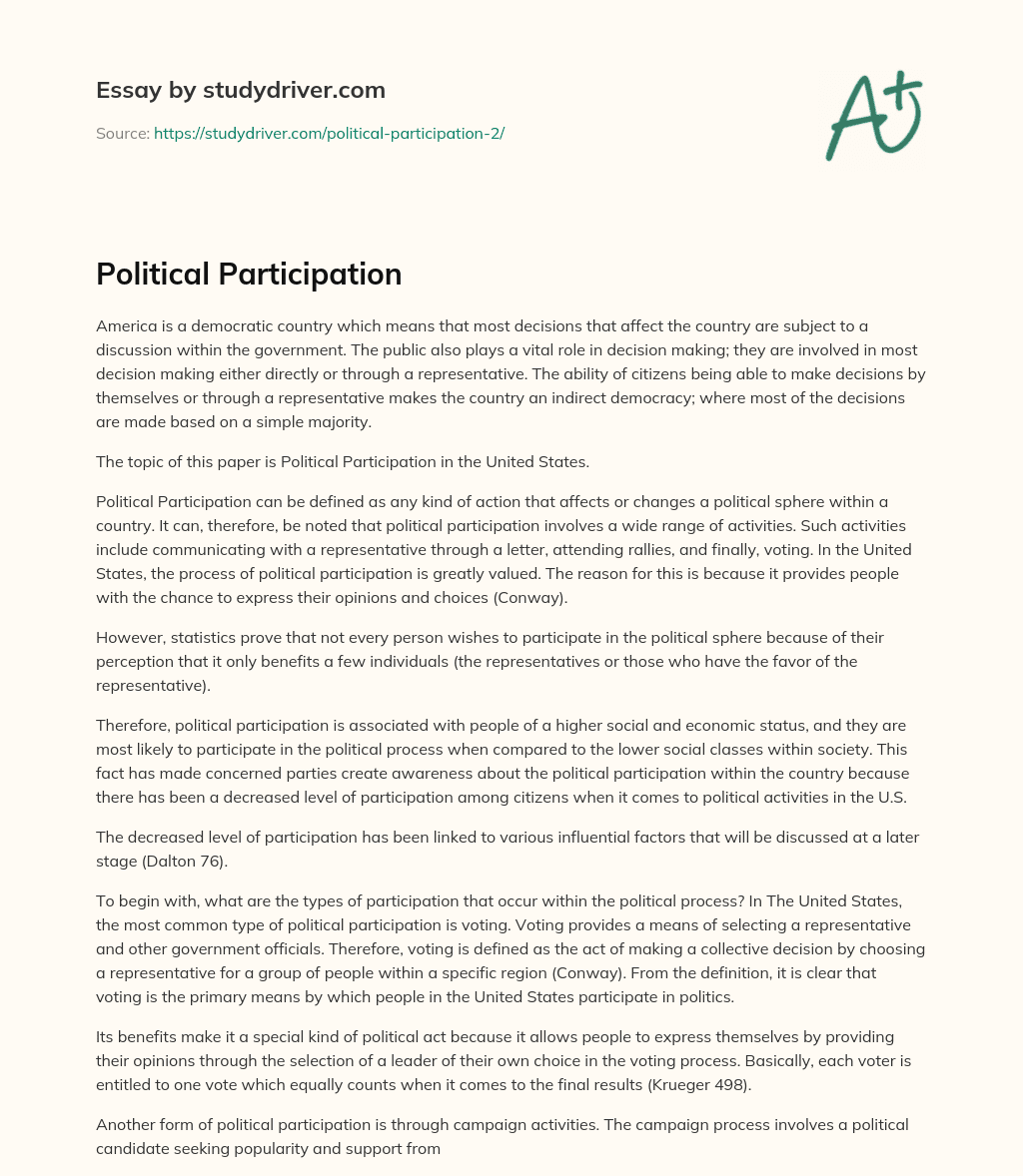 Political Participation essay